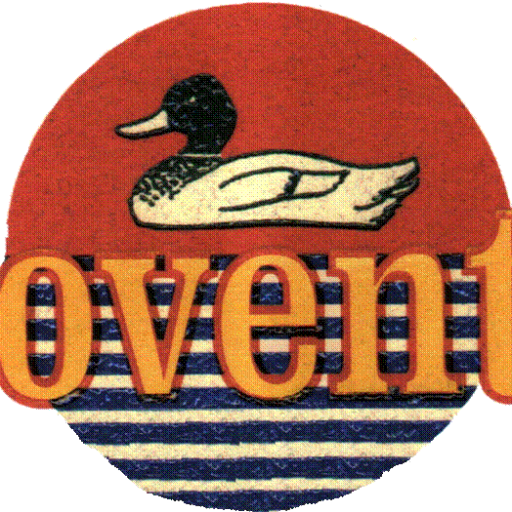 cropped-duck-logo-2-1.png