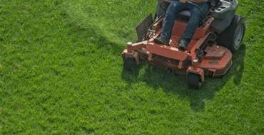 mowing.jpg