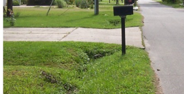 ditch.png